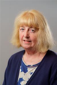 Profile image for Councillor Carol Holliday